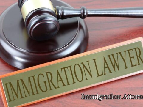 Immigration Attorney