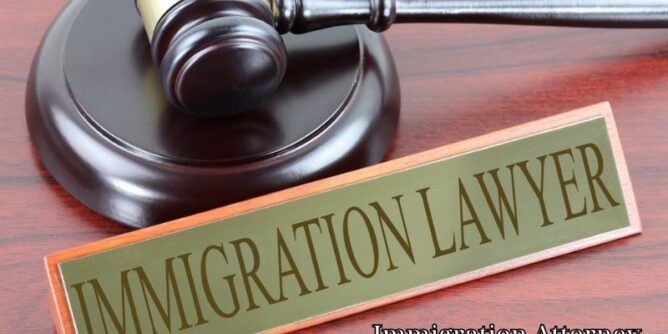 Immigration Attorney